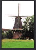molen; Korenmolen Eben Haëzer te Enumatil., Verzamelen, Ansichtkaarten | Nederland, Verzenden, Ongelopen, Groningen