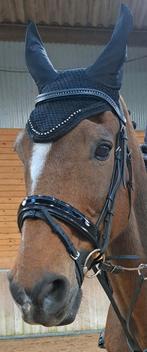 Mooi Hoofdstel maat full, Dieren en Toebehoren, Paarden en Pony's | Hoofdstellen en Tuigage, Ophalen of Verzenden, Gebruikt, Dressuur