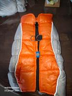 hondenjas winter  m, Ophalen, Hondenjas