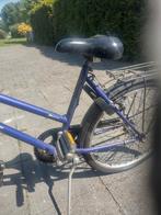 24 inch meisjesfiets, 20 inch of meer, Gebruikt, Dames, Ophalen