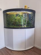 Juwel trigon 350, Dieren en Toebehoren, Ophalen, Leeg aquarium