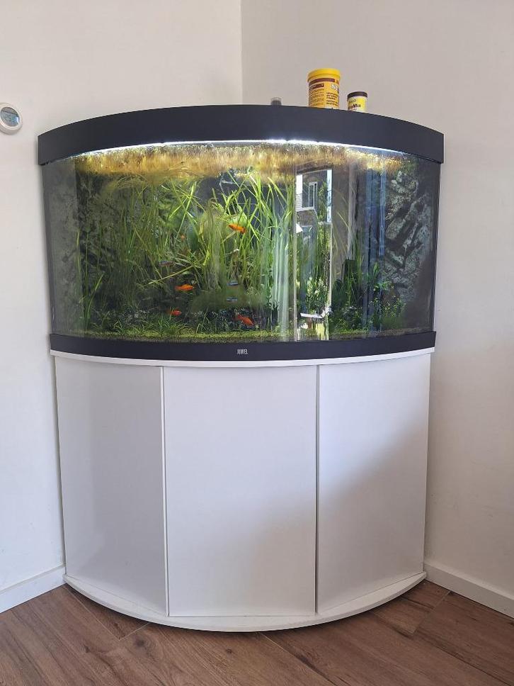 Juwel trigon 350, Dieren en Toebehoren, Vissen | Aquaria en Toebehoren, Leeg aquarium, Ophalen