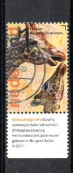 ‹(•¿•)› nl # h0232 burgers'zoo tab giraf, Verzenden, Na 1940, Gestempeld