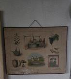 Oude schoolplaat Olie en Wijn van Lummel Utrecht, Ophalen of Verzenden