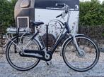Electrische dames fiets sparta, Ophalen, Sparta, Versnellingen, 53 tot 56 cm