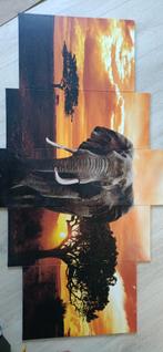 Canvas  olifant, Ophalen of Verzenden