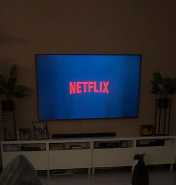 LG TV - 65 inch beschikbaar voor biedingen