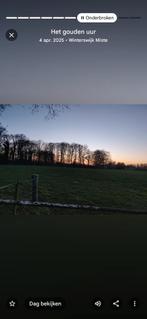 Gratis grond storten? Bomen en struiken doneren?, Tuin en Terras, Planten | Bomen, Ophalen of Verzenden, Volle zon, Overige soorten