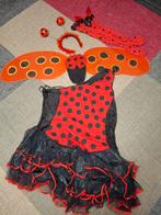 Lieveheersbeestje Pak Maat 46 - Compleet!, Carnaval, Maat 46/48 (XL) of groter, Ophalen of Verzenden, Zo goed als nieuw