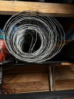 Te koop schapen gaas, Meerdere dieren, Schaap