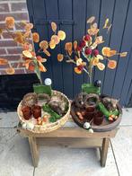 Opgemaakt herfst plateau, Tuin en Terras, Bloembakken en Plantenbakken, Rond, Nieuw, Ophalen of Verzenden, Hout