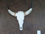 Schedel / skull wanddecoratie, Ophalen, Zo goed als nieuw