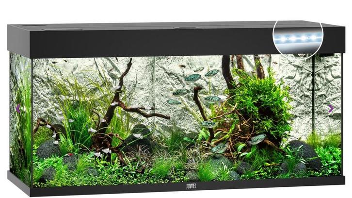 Gezocht groot aquarium, Dieren en Toebehoren, Vissen | Aquaria en Toebehoren, Zo goed als nieuw, Leeg aquarium, Ophalen of Verzenden