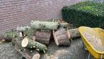 Haard hout, Tuin en Terras, Haardhout, Minder dan 3 m³, Ophalen of Verzenden