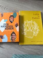 Bijbelboeken en Dagboek - Diverse Titels, Verzenden, Gelezen, Christendom | Protestants