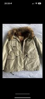 Parajumper jas maat xxl, Kleding | Dames, Jassen | Winter, Ophalen of Verzenden, Zo goed als nieuw, Maat 46/48 (XL) of groter