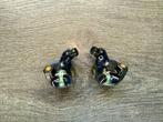 Te koop: vrijwel nieuwe Campfire Clara IEM's, Overige merken, Overige typen, Ophalen of Verzenden, Zo goed als nieuw