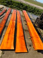 Elzen houten stam delen, Doe-het-zelf en Verbouw, Hout en Planken, Nieuw, Plank, Ophalen of Verzenden, 25 tot 50 mm