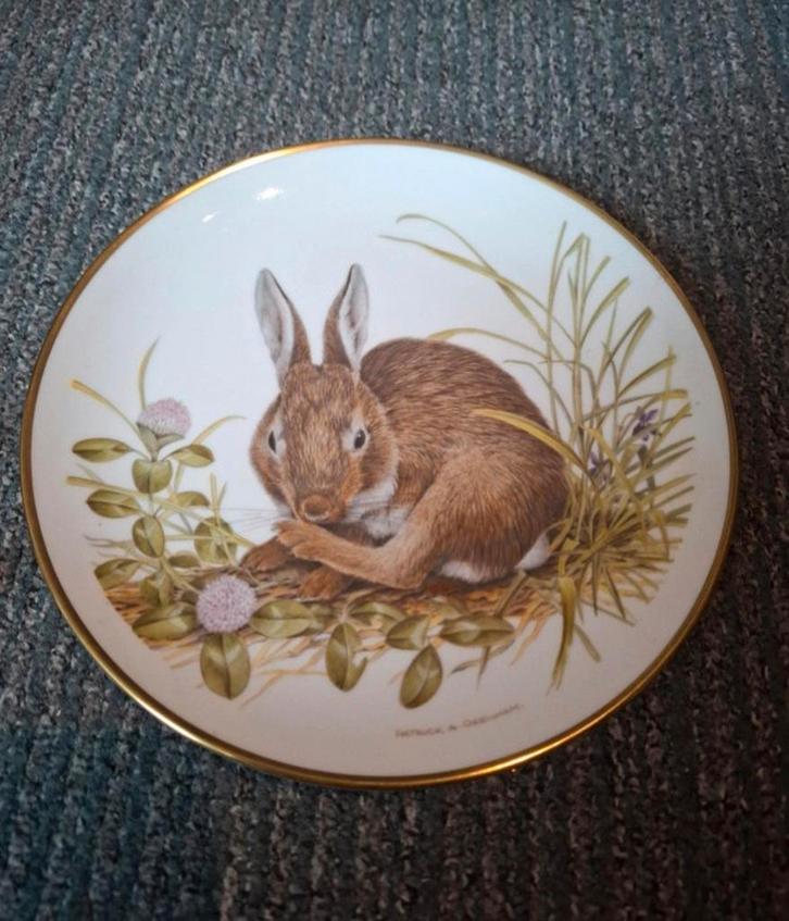Wedgwood porseleinen bord "Konijn" by Patrick A. Oxenham, Antiek en Kunst, Antiek | Wandborden en Tegels, Ophalen of Verzenden