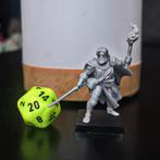 Dungeons & Dragons, D&D, HeroQuest, miniature Adventurer, Hobby en Vrije tijd, Ophalen of Verzenden
