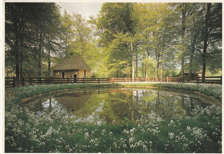 LHEE Dorpsschooltje Openluchtmuseum Arnhem Foto Martin Kers, Verzamelen, Ansichtkaarten | Nederland, Gelopen, Drenthe, 1980 tot heden