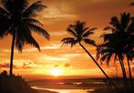 Palmen fotobehang zonsondergang, 368 x 254 cm, VLIESBEHANG, Huis en Inrichting, Stoffering | Behang, Verzenden, Romantisch, strand, zonsondergang