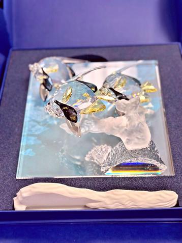 Swarovski Wonders off the See Community kleur kompleet   beschikbaar voor biedingen
