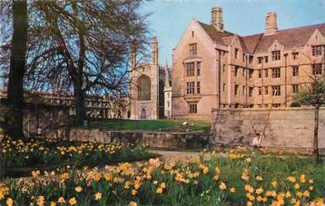 (381-183-029) Cambridge Daffodil Time beschikbaar voor biedingen
