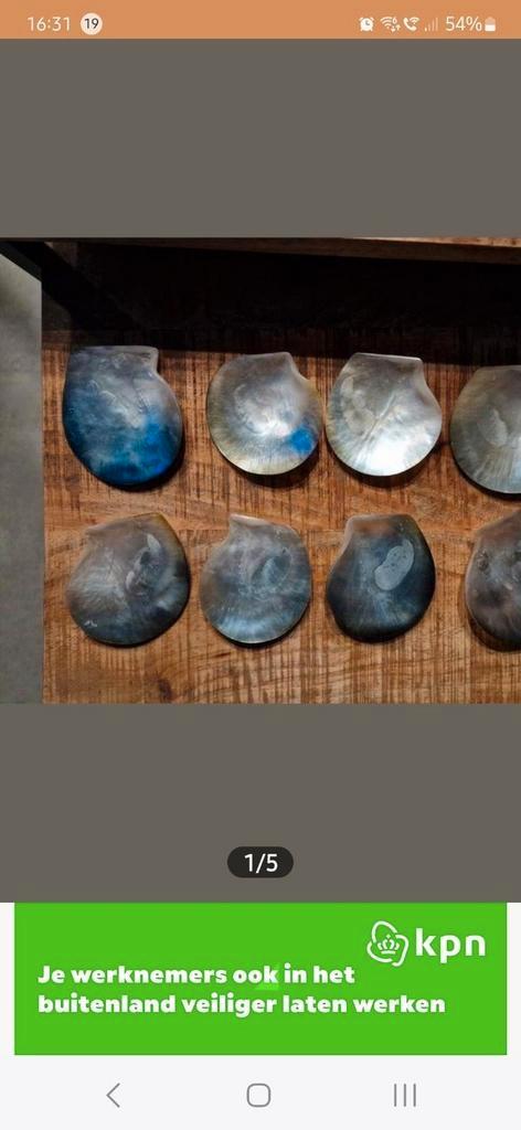 Mooie platte bruin/ groene parelmoer schelpen, Verzamelen, Mineralen en Fossielen, Schelp(en), Ophalen of Verzenden