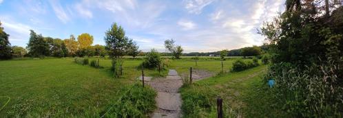Idyllische weideplek voor ruin in Santpoort Noord - €160 p/m, Dieren en Toebehoren, Stalling en Weidegang, Weidegang, 1 paard of pony