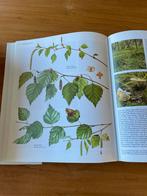 Flora Nederlandse Oecologische - Weeda, Boeken, Ophalen of Verzenden, Gelezen, Bloemen, Planten en Bomen