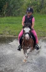 Fijne A,B,C,D kinder en sportpony’s te koop, Dieren en Toebehoren, Pony's, M, B pony (1.17m tot 1.27m), 11 jaar of ouder, Recreatiepony