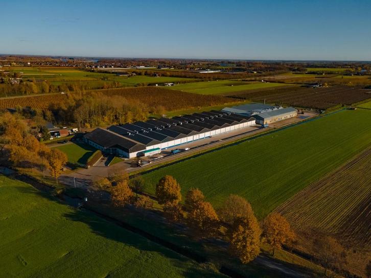 Teeltmedewerker champignonkwekerij, Vacatures, Vacatures | Landbouw, Natuur en Milieu, MBO, Tijdelijk contract, Variabele uren