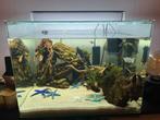 Dennerle Nano scaper tank 70liter, Dieren en Toebehoren, Vissen | Aquaria en Toebehoren, Ophalen, Gebruikt, Leeg aquarium