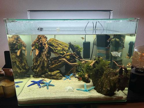 Dennerle Nano scaper tank 70liter, Dieren en Toebehoren, Vissen | Aquaria en Toebehoren, Gebruikt, Leeg aquarium, Ophalen