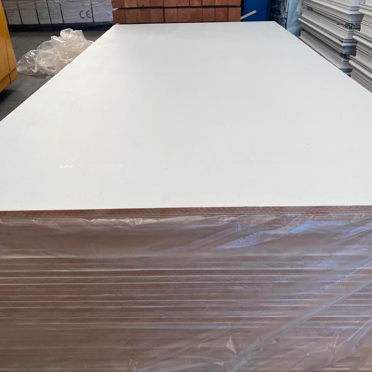 Multiplex Okoume gegrond 18mm, 1220x2500mm, Doe-het-zelf en Verbouw, Platen en Panelen, Nieuw, Multiplex, Minder dan 20 mm, Ophalen of Verzenden