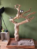 Java ( unieke grote) boom, Dieren en Toebehoren, Ophalen, Speelgoed