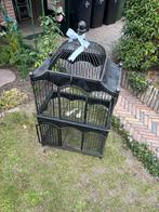 Grote vogelkooi brocante, Antiek en Kunst, Curiosa en Brocante, Ophalen