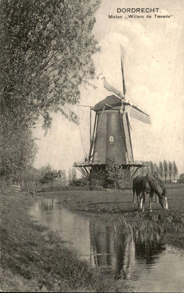 Dordrecht- Molen Willem de Tweede, Verzamelen, Ansichtkaarten | Nederland, Gelopen, Zuid-Holland, Voor 1920, Ophalen of Verzenden