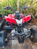 Shineray 250 quad op kenteken, Motoren