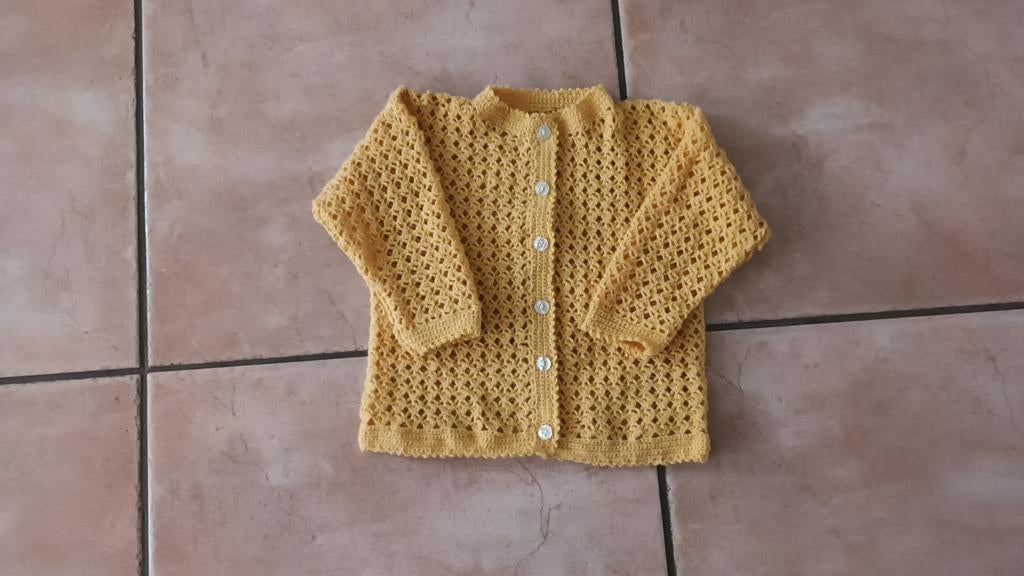 Hand gehaakt vestje nieuw 10 euro, Kinderen en Baby's, Ophalen of Verzenden, Nieuw, Meisje, Truitje of Vestje