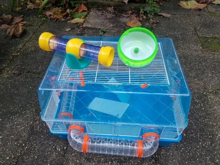Ferplast knaagdier kooi, Dieren en Toebehoren, Knaagdieren en Konijnen | Hokken en Kooien, Gebruikt, Kooi, Minder dan 60 cm, Minder dan 75 cm