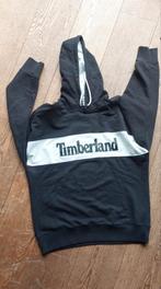Hoodie van het merk Timberland, Ophalen of Verzenden, Nieuw