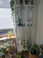 Witte Vitrinekast met Glazen Deuren. Plant vitrine with ligh, Huis en Inrichting, Kasten | Vitrinekasten, Ophalen of Verzenden