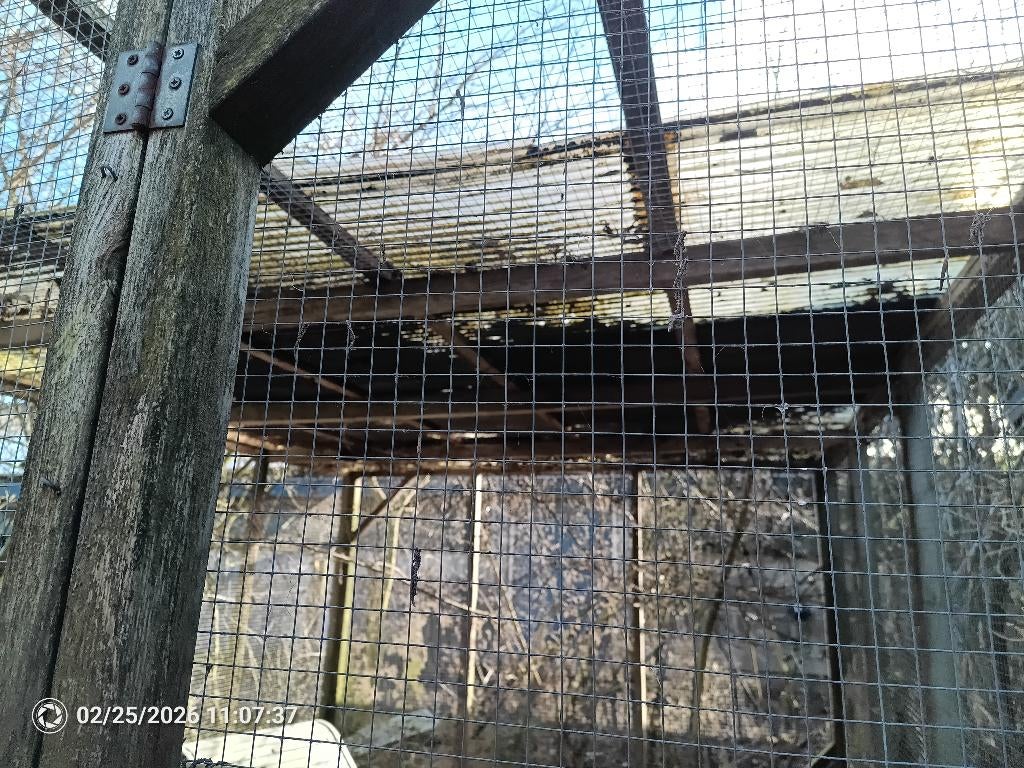Kippenren, Dieren en Toebehoren, Pluimvee | Toebehoren, Ophalen, Gebruikt, Kippenhok of Kippenren