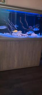 Aquarium aquatlantis compleet, Dieren en Toebehoren, Vissen | Aquaria en Toebehoren, Ophalen of Verzenden, Zo goed als nieuw, Leeg aquarium