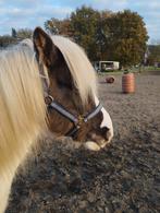 Kerst halster maat pony, Dieren en Toebehoren, Paarden en Pony's | Hoofdstellen en Tuigage, Ophalen, Overige soorten
