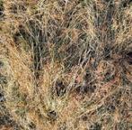 hooibalen hooi, Dieren en Toebehoren, Ophalen, Nieuw, Overige soorten