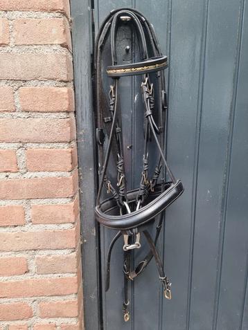 Rossner hoofdstel cob beschikbaar voor biedingen