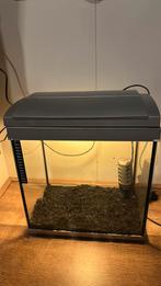 Te koop goede superfish, Ophalen, Zo goed als nieuw, Grind, Zand of Voedingsbodem